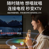 K12 Bluetooth Audio Mini Portable Karaoke Wireless Bluetooth All-in-One Karaoke Singing Songs Family KTV